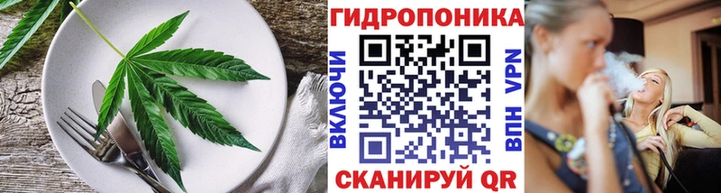 MEGA маркетплейс наркота Кировград Cannafood марихуана