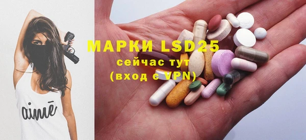 шишки Ладушкин