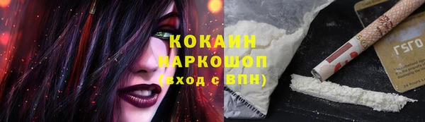 индика Краснотурьинск