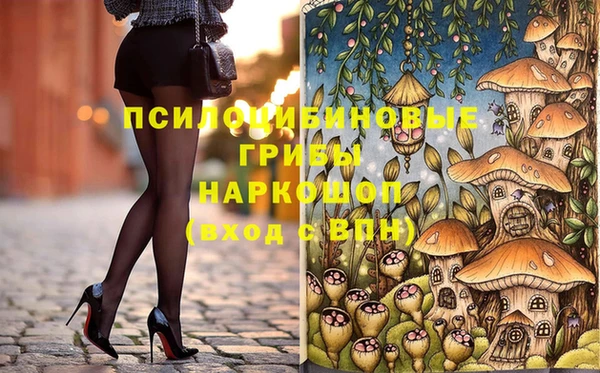 стаф Данков