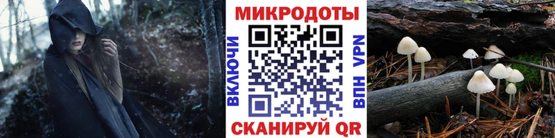 Галлюциногенные грибы Psilocybine cubensis  Кировград 
